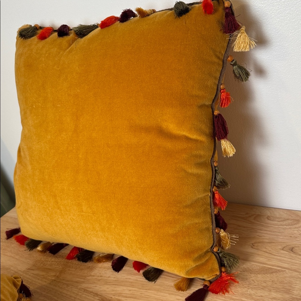 Set of Pier 1 Velvet boho pillow with tassels - Picture 11 of 13